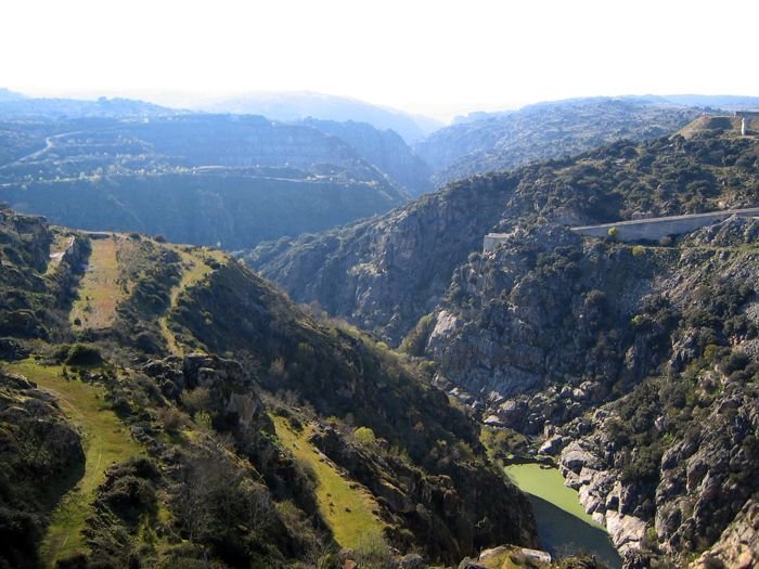 Observación de aves y fauna en los Arribes del Duero
